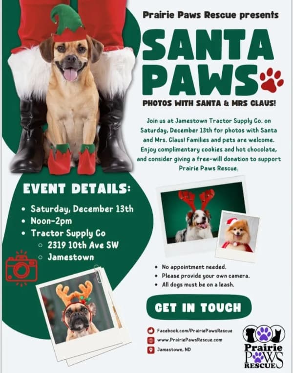 Jamestown Santa Paws Event Raises Funds for Local Rescue