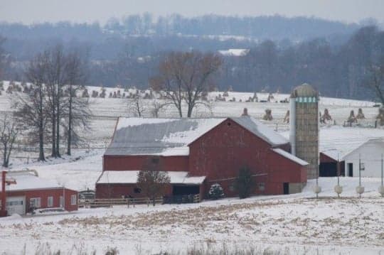 Holmes County winter outings: drives, trails, Amish markets and events