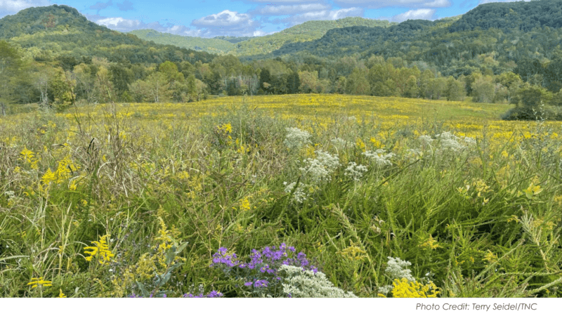 Adams County parks offer nature access, check hours and facilities