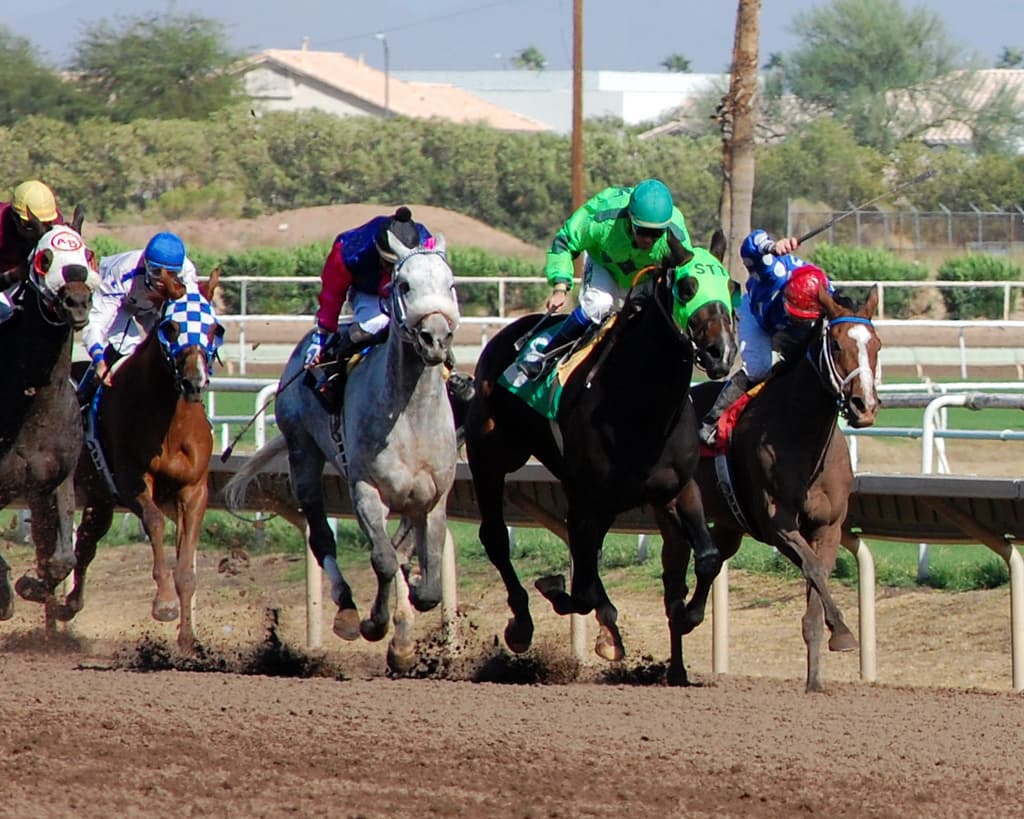 Novel tulobuterol positive leads to summary suspension in New Mexico racing