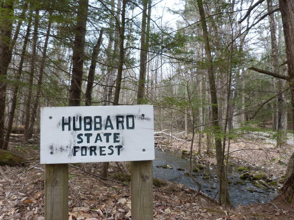 Hubbard Hill Trails Offer Local Recreation, Health Benefits and Challenges