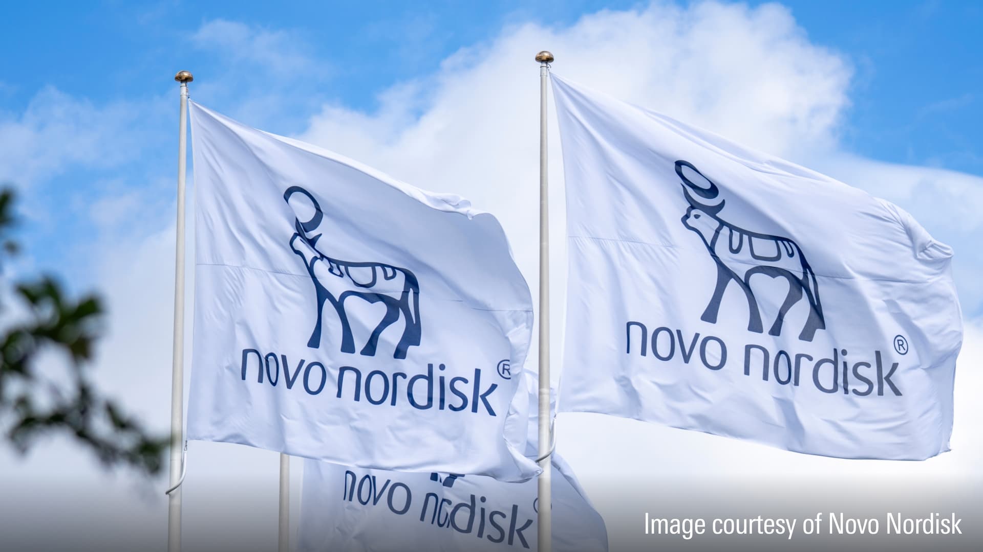 Novo Nordisk Faces Scrutiny Ahead of Crucial Q3 Earnings