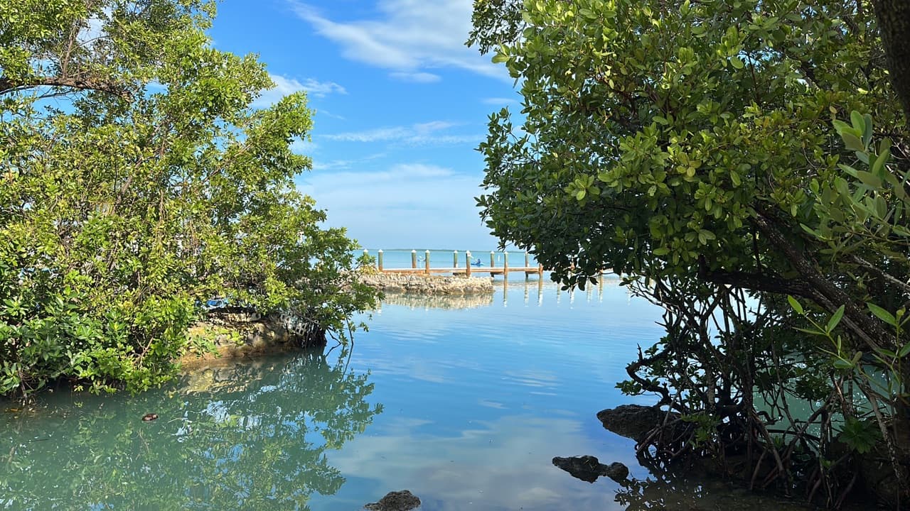 Village Dedicates Mangrove Mike Forster Memorial Dog Park for Local Pet Owners