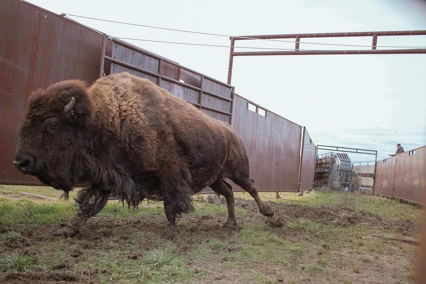 Conservation Group Sues State, Seeks Action on Delayed Permit Renewal