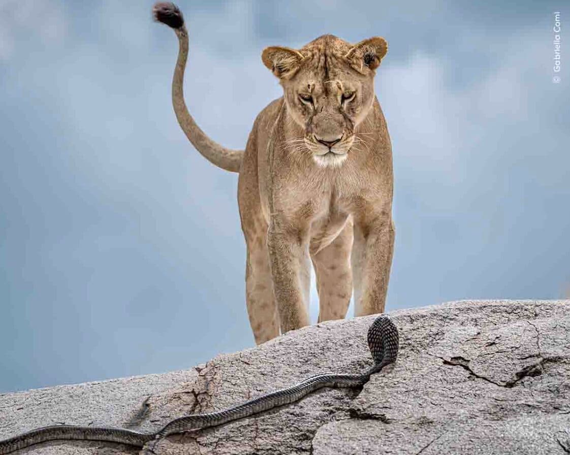 Photographer Captures November Nature in Jamestown, Showcases Local Wildlife
