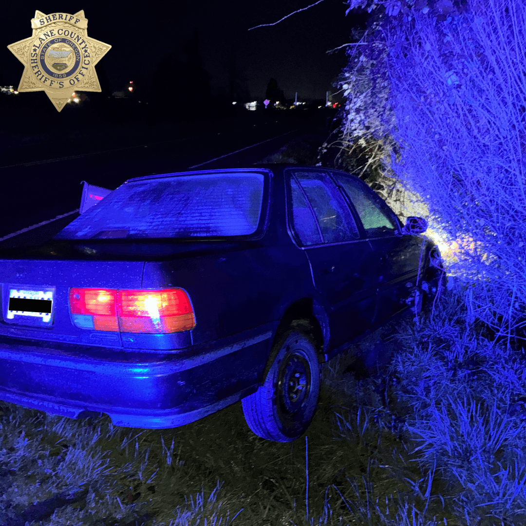 Four DUII Arrests Across Lane County Over New Year Period