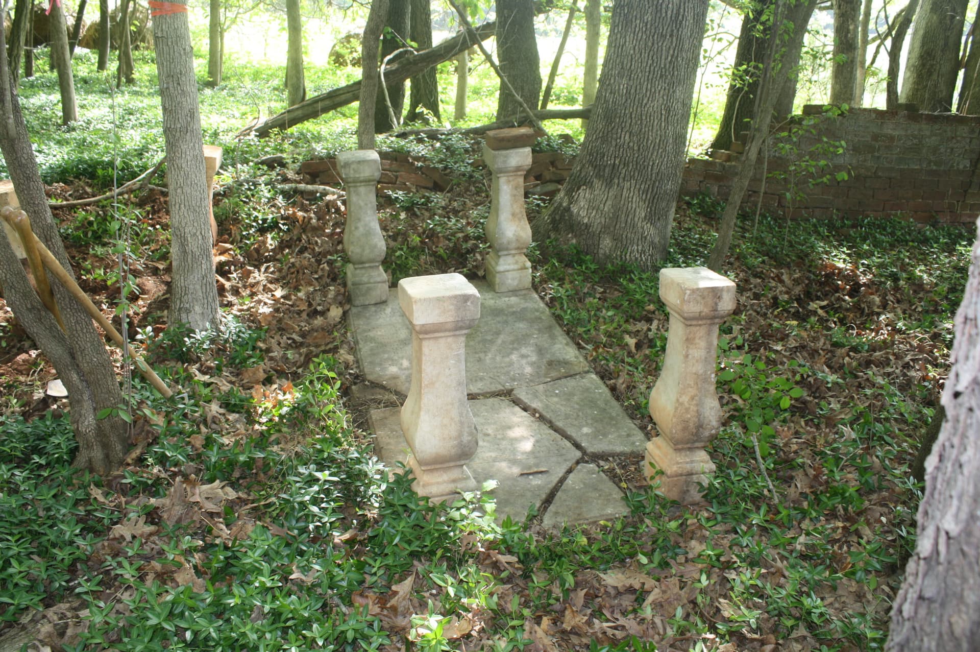 Local History Archive Strengthens Community Ties and Health Equity