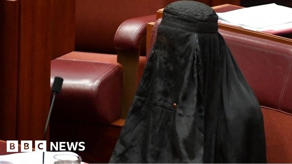 Senator Pauline Hanson Wears Burqa In Senate, Sparks Outrage