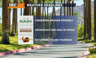 San Luis Mayor Turned Back at Port of Entry, Visa Revoked