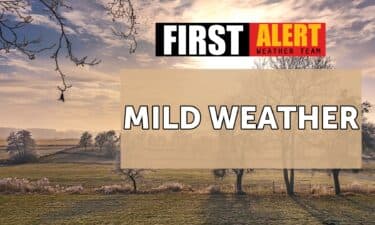 Target Adds Hours Instead of Holiday Hires, Seasonal Jobs Decline