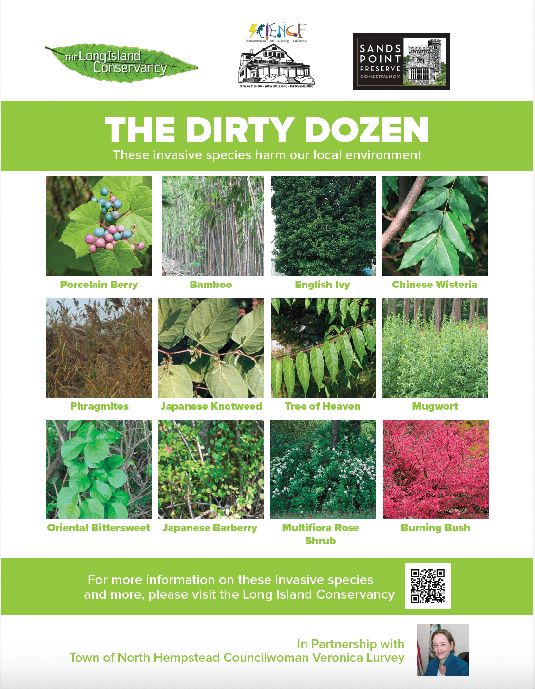 OSU warns Dirty Dozen invasive plants threaten Texas County rangeland