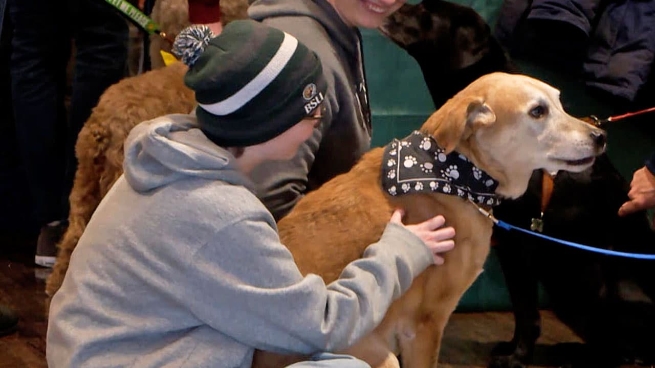 Bemidji State Hosts De Stress With Pets Event, Eases Finals Strain