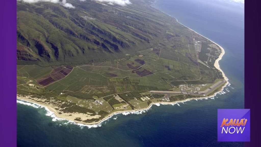 Mānā Plains Project launches to curb nēnē vehicle collisions