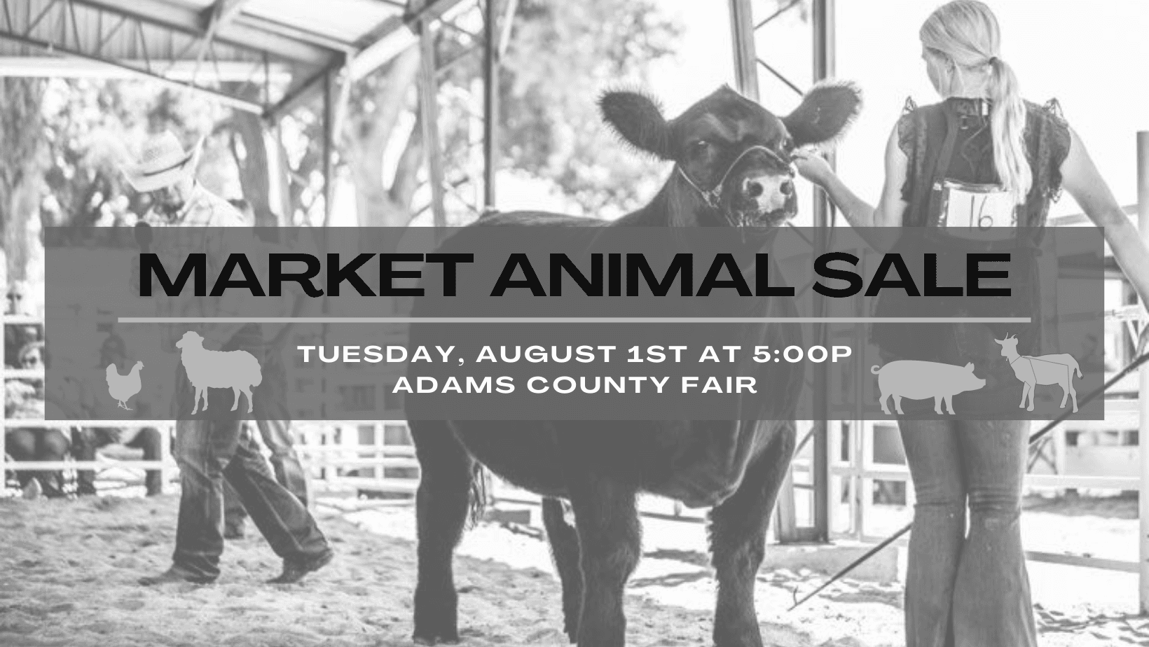 Adams County Fairgrounds Guide, How Markets Support Local Makers