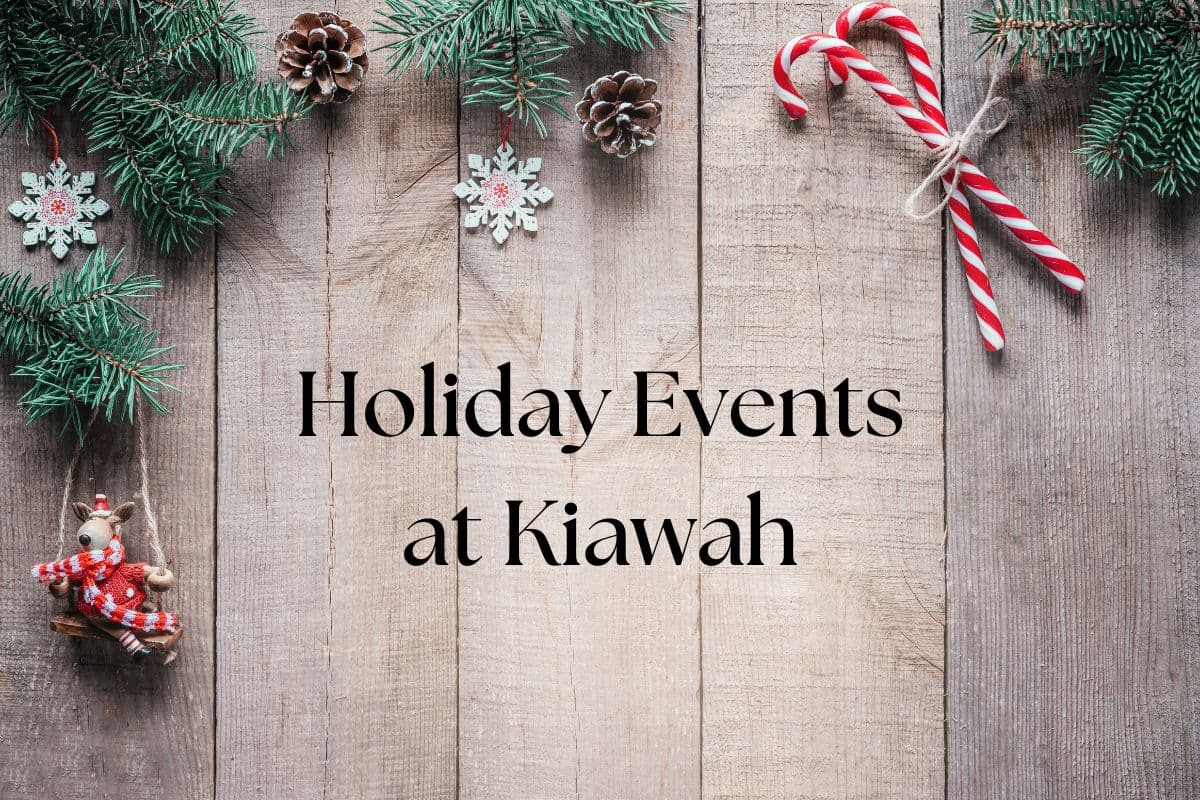Island County holiday events boost community activity and giving