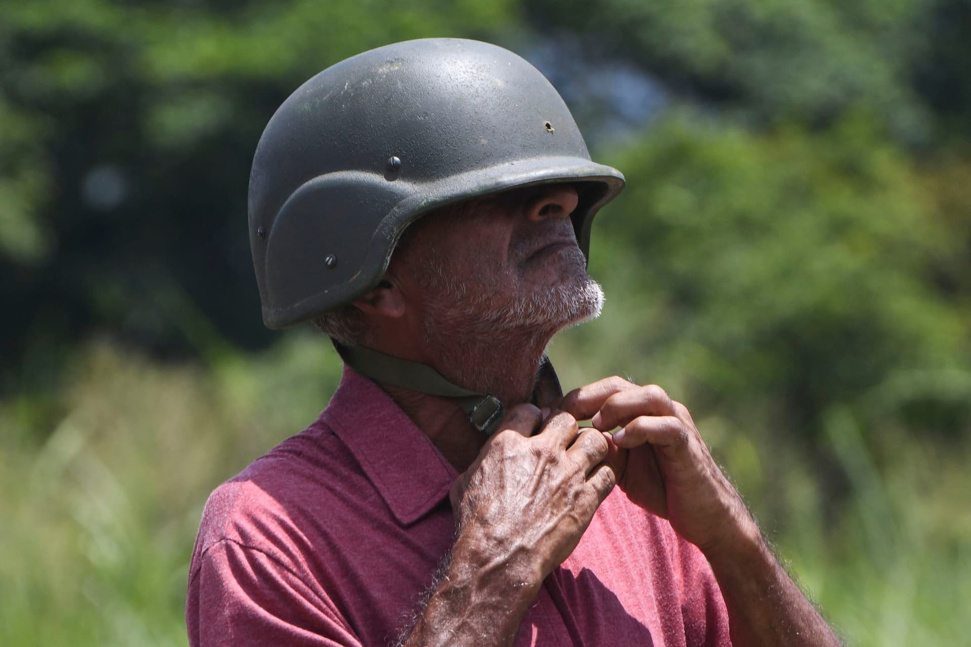 Vibrant Frames: Pink Dolphins, Patriotic Parades and Latin America