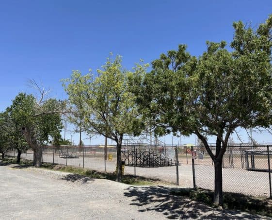 Lordsburg Adopts Community Forest Plan to Expand Shade and Resilience