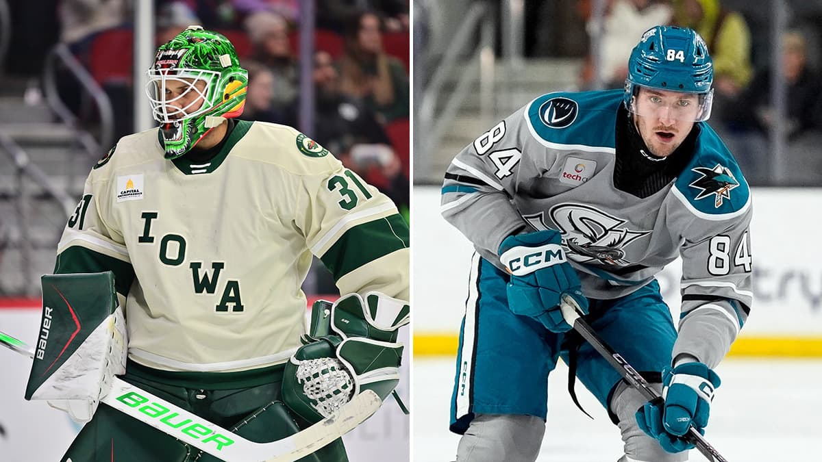Iowa Wild, Barracuda players named to Slovakia Olympic roster