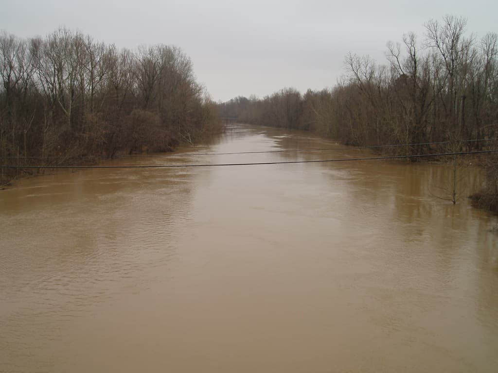 Coldwater River at Marks Anchors Local Ecology and Public Safety