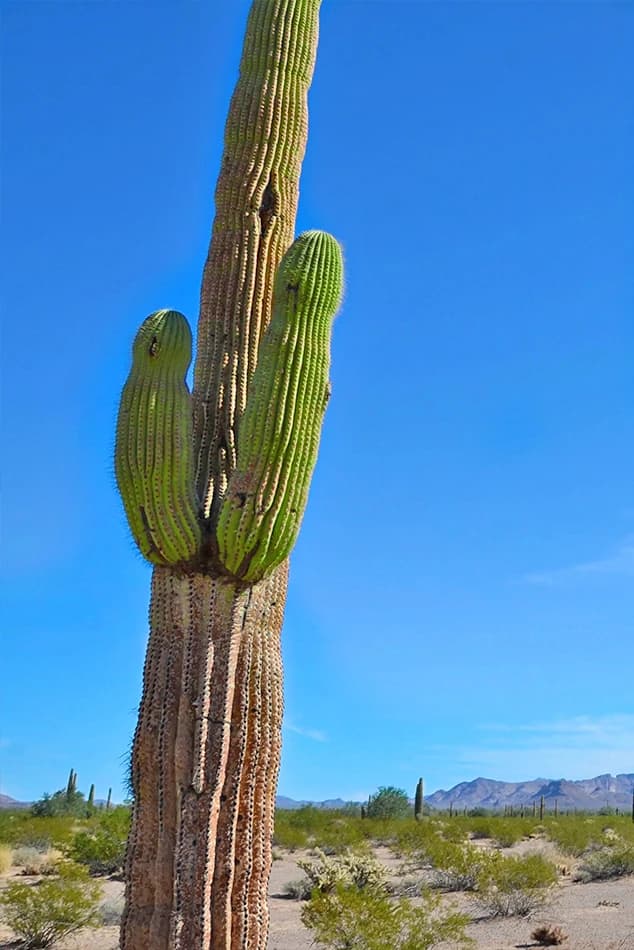 Yuma County Promotes Winter Visitors, Highlights Historic Sites and Recreation