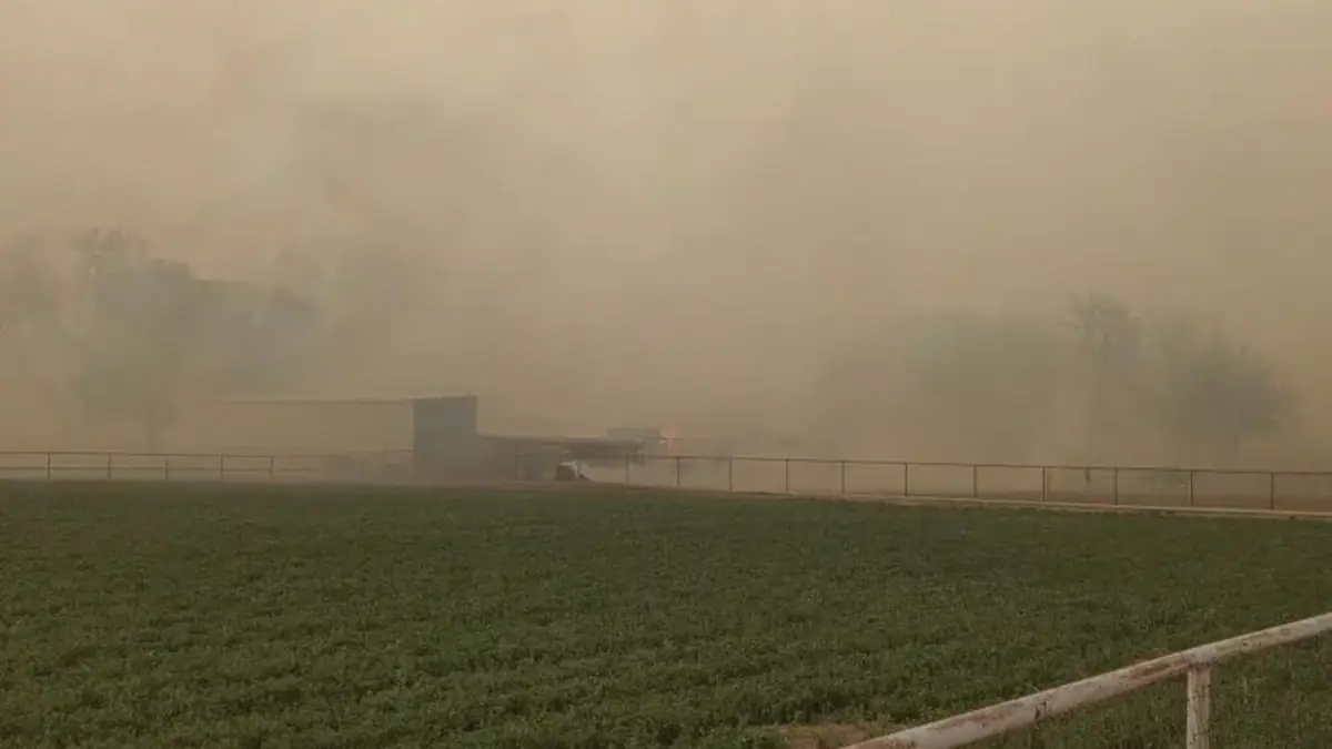 Alleged Secret Recording of Bosque Farms Mayor Raises Open Records Concerns