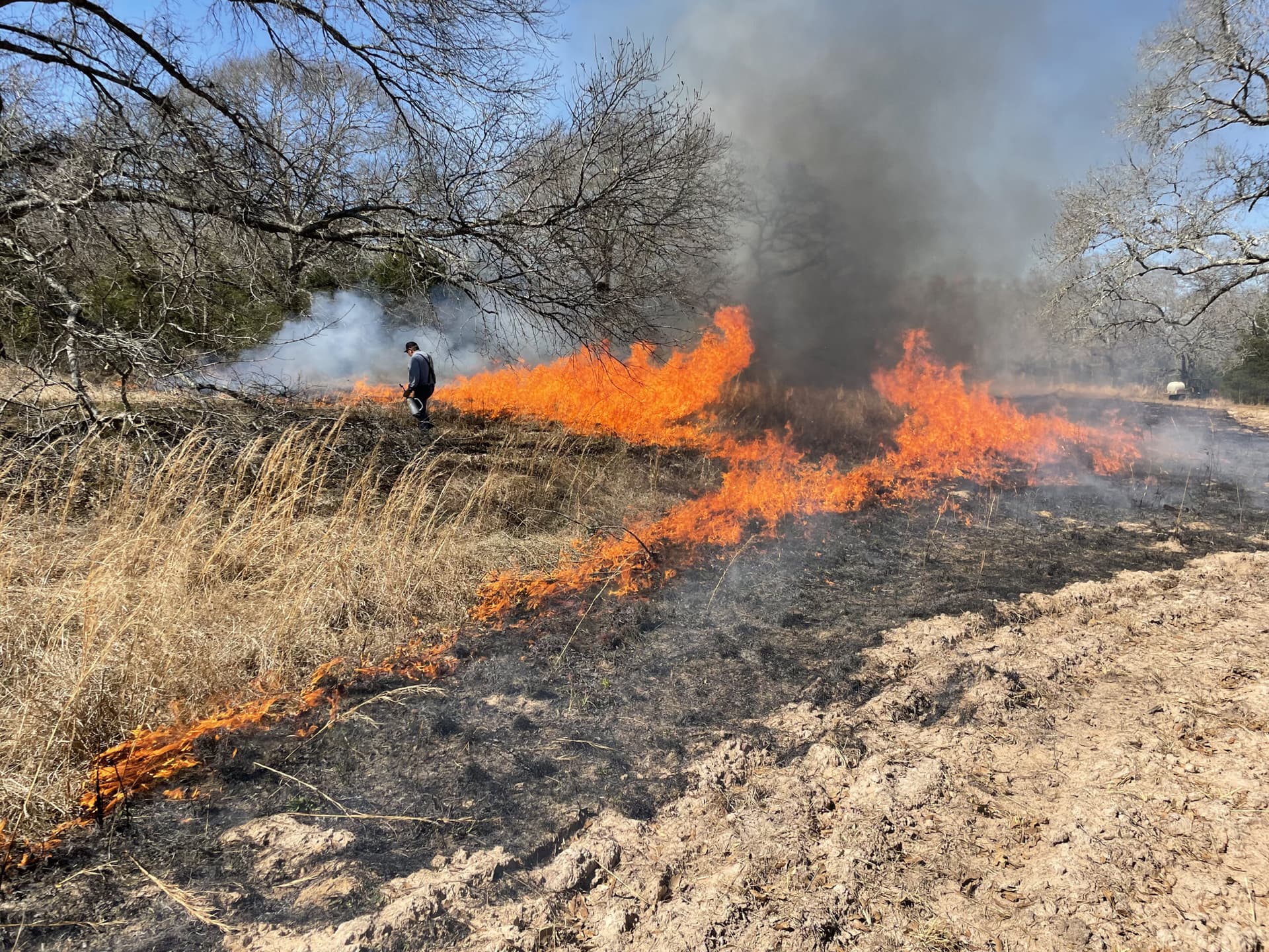 Prescribed burn clears 11 acres at Black Hammock Wilderness Area