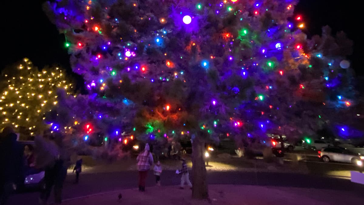 How Douglas County Residents Can Track City Council Decisions