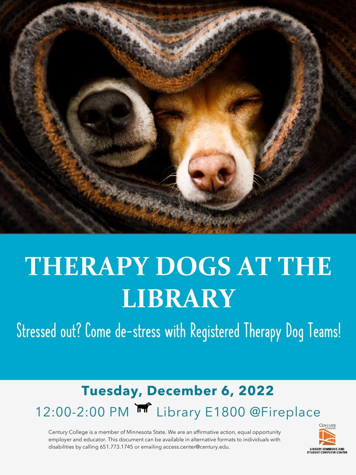 Library Brings Back De Stress December Programs for Wellness