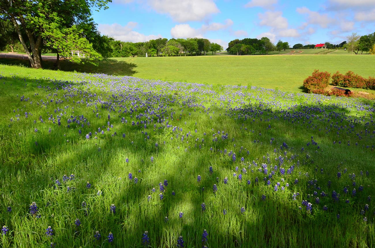 Collin County Grants Support Trails, Land Preservation, and Facilities