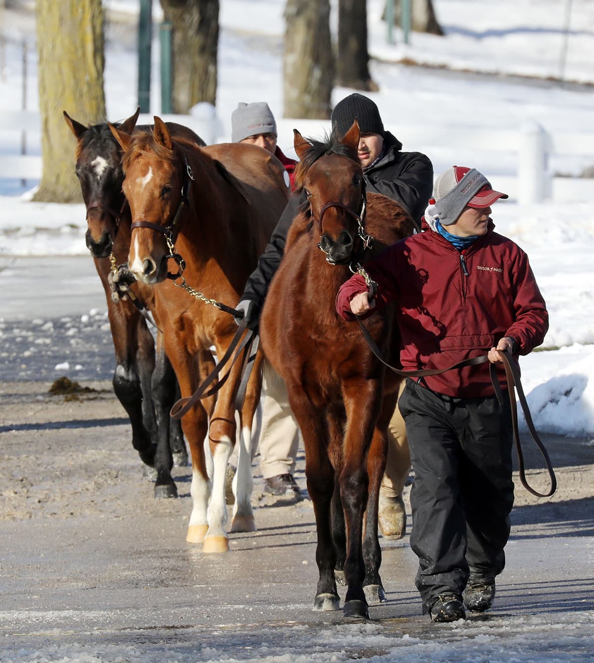 Keeneland holds January Horses of All Ages sale with big catalog