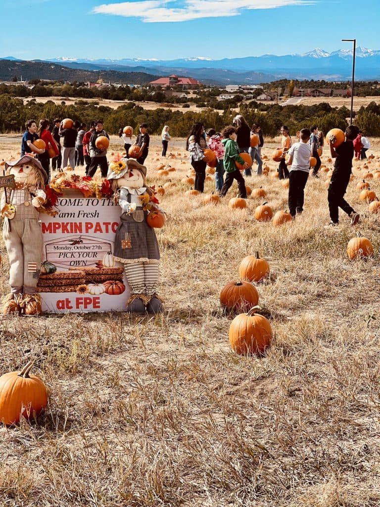 Community Donated Pumpkins Create On Campus Patch at Fisher’s Peak