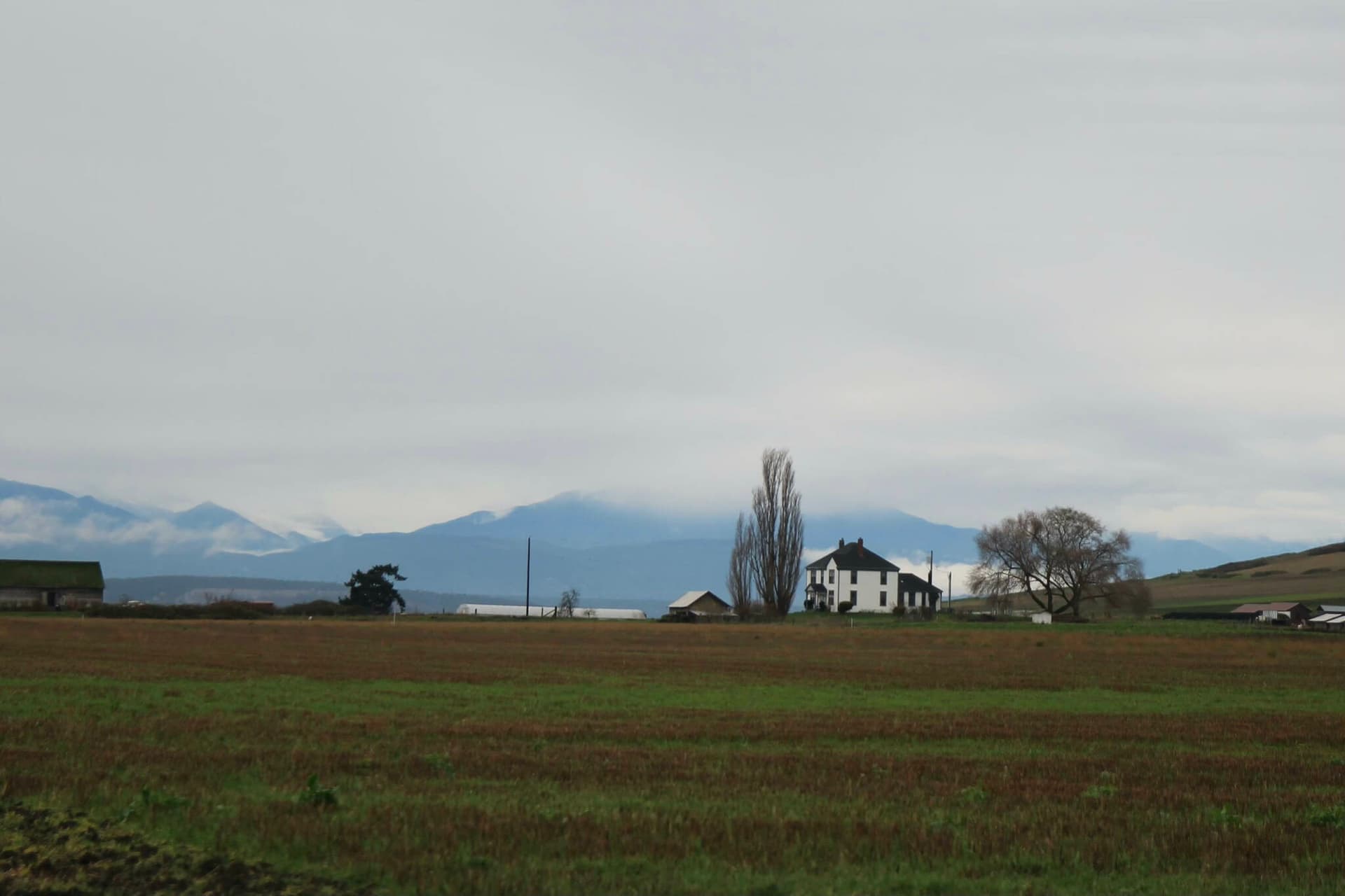 Whidbey Island Home Market Remained Steady Despite Luxury Slowdown