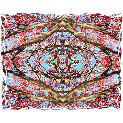 Prince George's Parks Expand Free Family Programs and Wellness Access