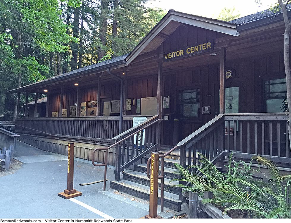 Humboldt Redwoods Visitor Center Hosts Community Holiday Party