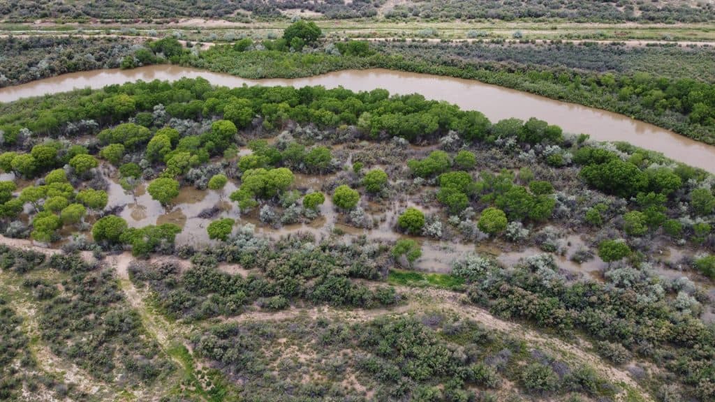 Del Rio Seeks HEB Grant to Restore Riparian Habitat, Protect Wildlife