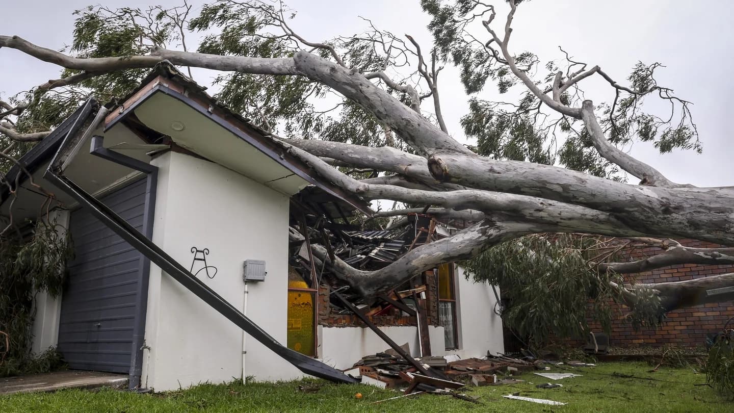 Cyclone Fina Leaves Thousands in Northern Territory Without Power