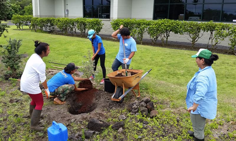 Community Garden Festival Spotlights Protection of ʻŌhiʻa and Native Forests