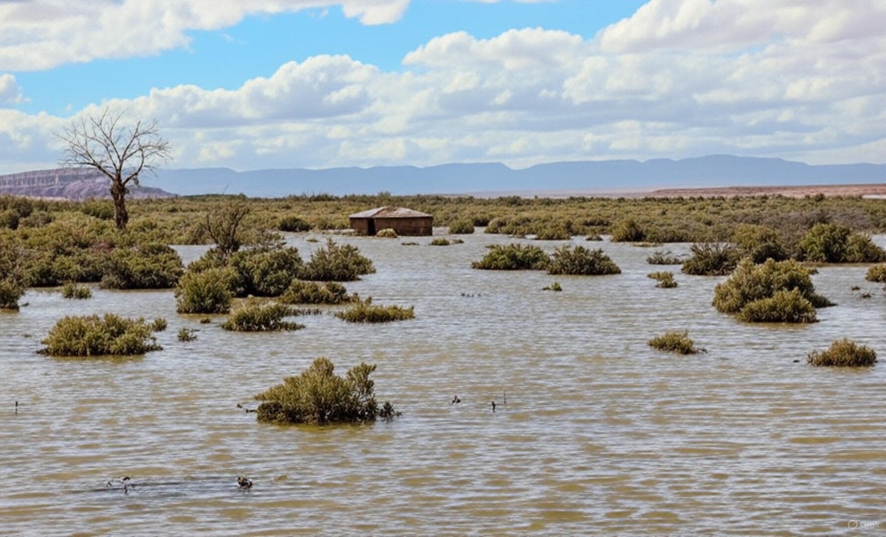 Flooding from Hurricane Priscilla Remnants Strands Navajo Families, Raises Concerns in McKinley County