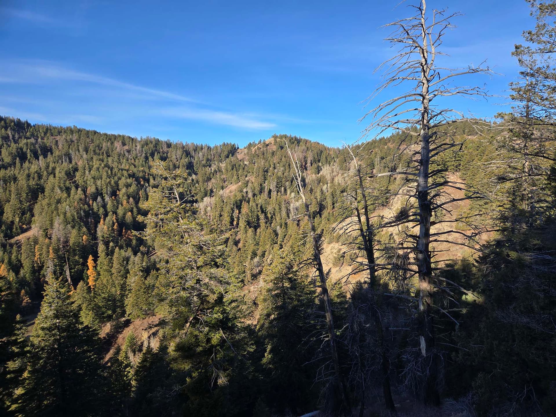 Unseasonably Warm Weather Could Break December Records in Baker County