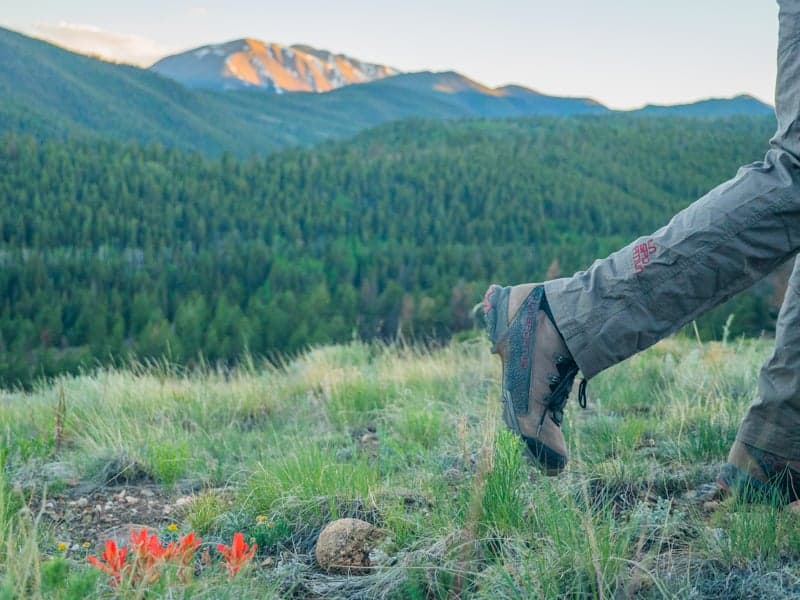 How to Use Allendale County Outdoors Responsibly, and Where to Get Information