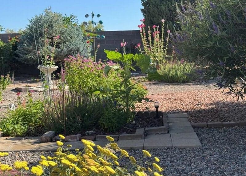 Valencia County Extension Offers Master Gardener and Food Preserver Training