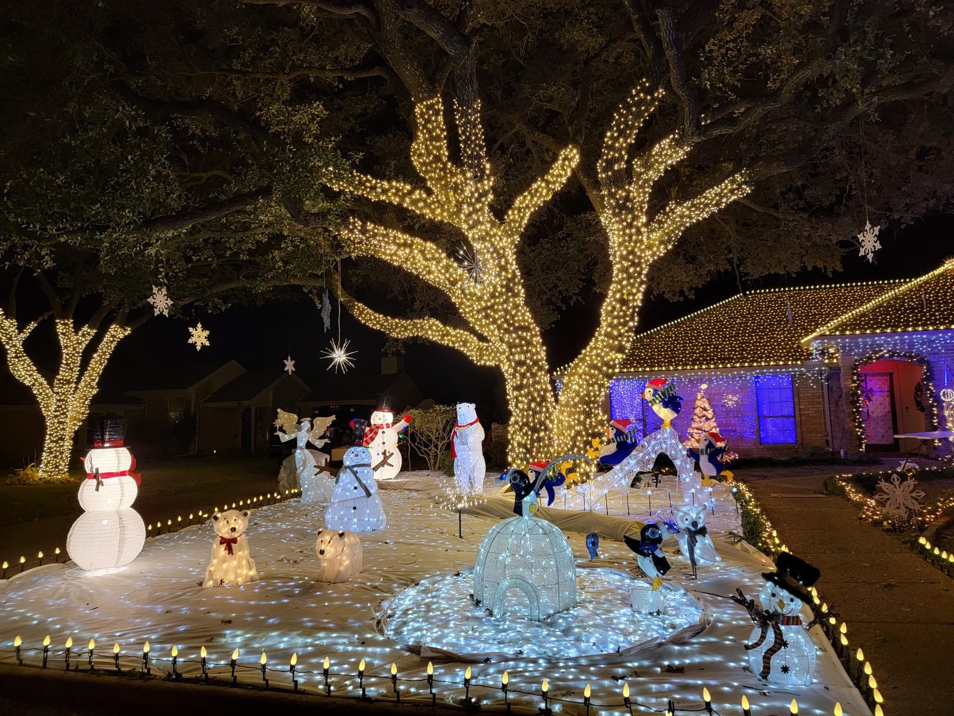 Rockwall County Holiday Guide, Lights Markets and Volunteer Opportunities