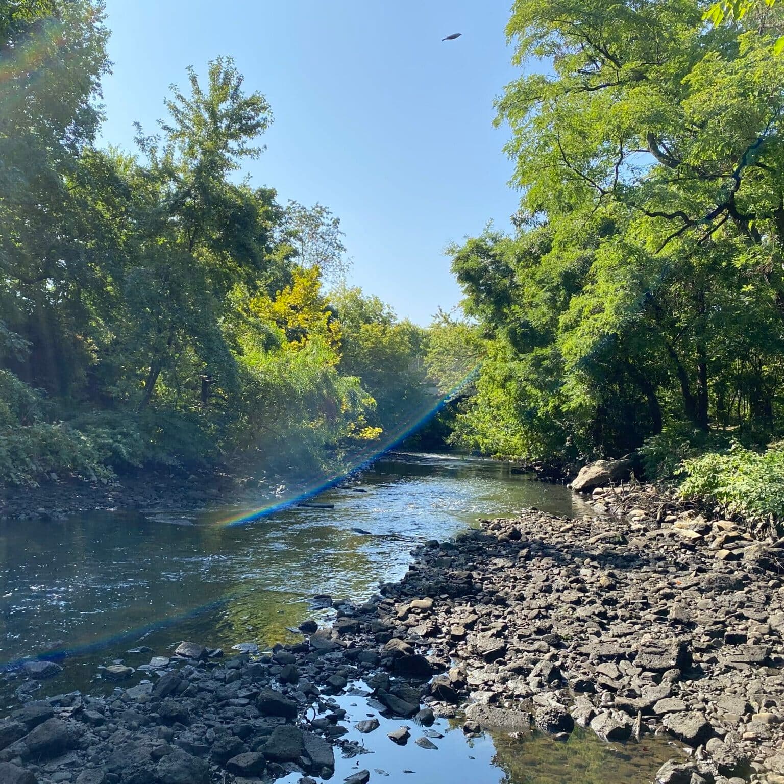 Dolores Seeks Contractors for $102,000 River Rehabilitation Project