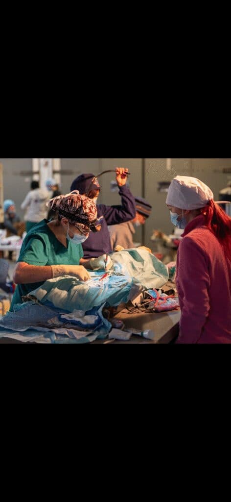 Nome Elementary Celebrates Inuit Day, Students Lead Cultural Program