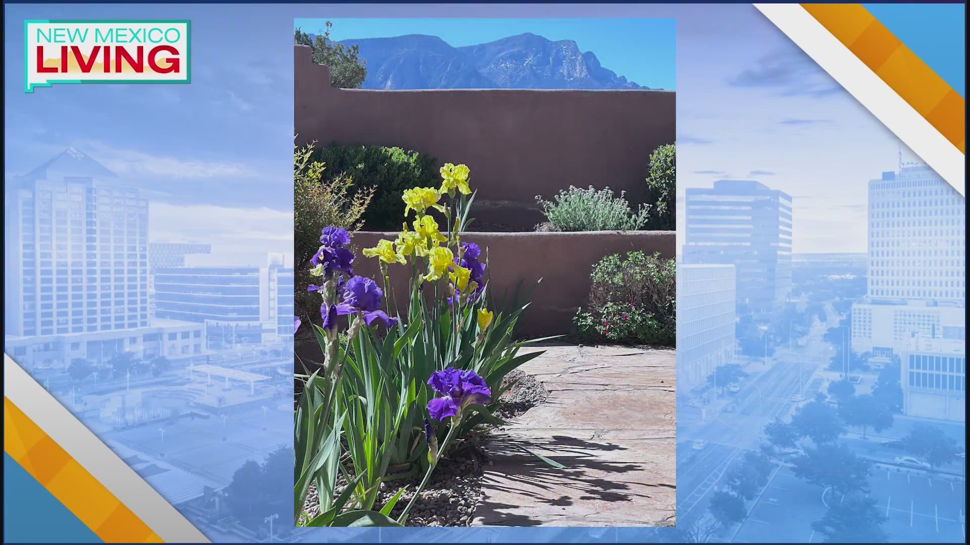 County Commission Honors Jardineros de Placitas on 60th Anniversary