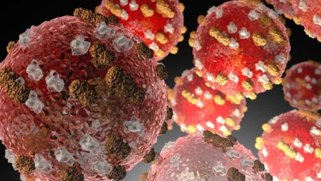 Measles Virus Found in Wastewater, Kauai and Maui Residents Urged