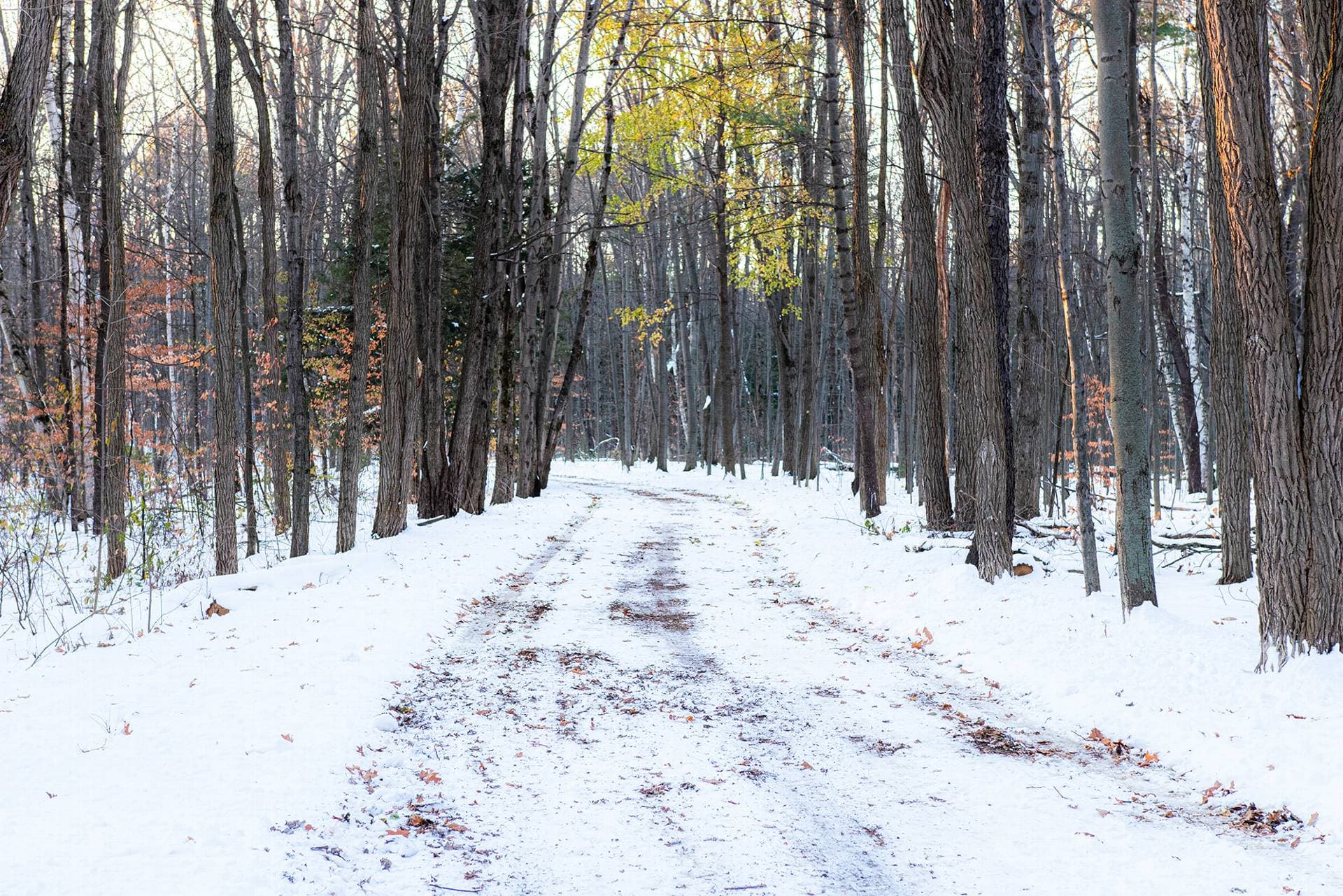 Adams County Winter Walks Offer Safe Routes, Local Access
