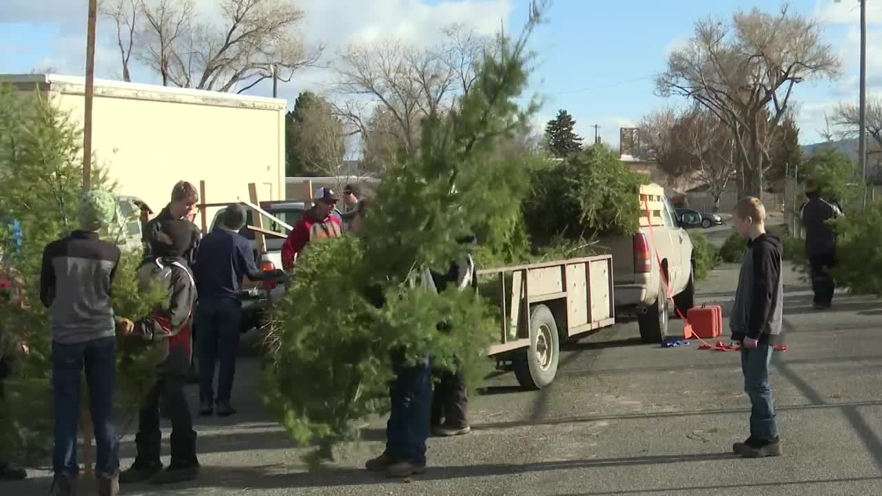 Helena Scouts Launch Annual Christmas Tree Sale Supporting Local Programs