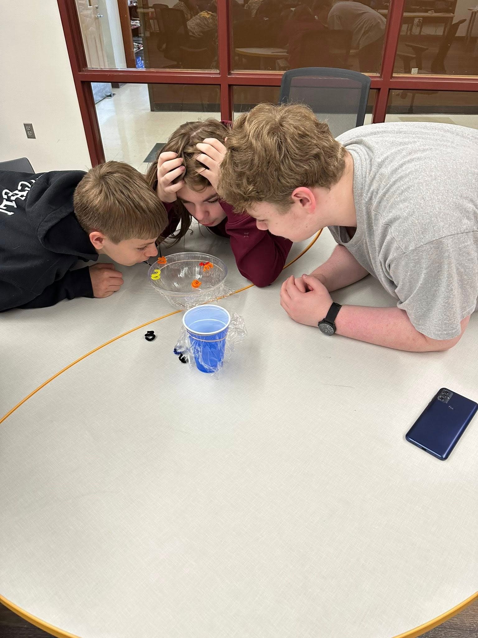 McDowell Schools Centralize Family Resources, Mental Health and Transportation Updates