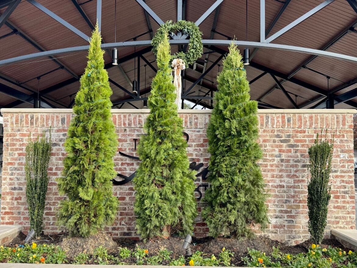 Prattville Council Requires Approval for Municipal Property Names